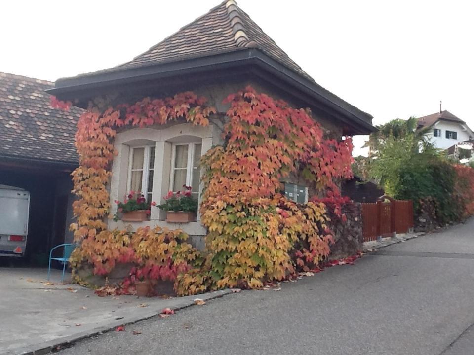 Bed and Breakfast La Tourelle Tartegnin Екстер'єр фото